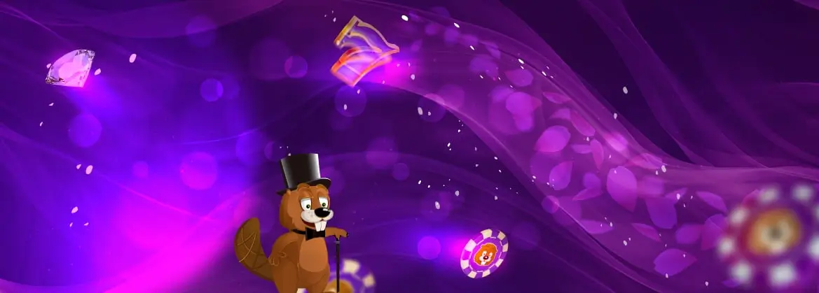 Bingobonga Casino banner